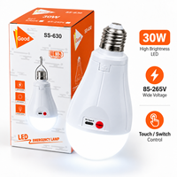 Ampoule LED IP54 6500K avec batterie au lithium et 3 batteries rechargeables par USB, E27 AC85-265V, 30W, pour salon et maison