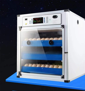 Incubadora de Tamaño Pequeño con Tasa de Incubación del 98%, Volteo Automático de Huevos, Material de PC para Huevos de Gallina, Pato, Pavo y Codorniz, Recién Llegado - Product Image 6