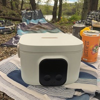 Nouvelle boîte à lunch pour bébé rechargeable en acier inoxydable 304 de 500 ml, avec batterie USB, affichage numérique LED, minuteur pour voiture, utilisation domestique et extérieure, 8