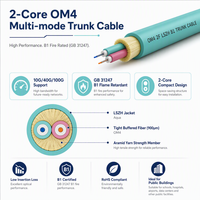 Cable Troncal de Fibra Óptica Multimodo OM4 de 2 Hilos para Interiores HEADWAY, LSZH, Retardante de Llama, GB 31247 B1(d0t0a1)
