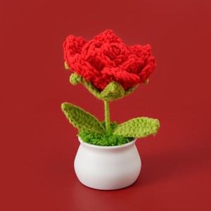 Maceta tejida de punto hecha a mano con pétalos puntiagudos de ganchillo y rosas para novia, graduación, Día de San Valentín, regreso a la escuela - Product Image 6