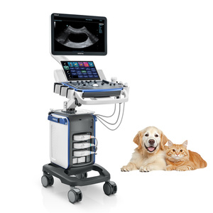 Système d'échographie vétérinaire Mindray Vetus 5 avec imagerie panoramique iScape pour les examens abdominaux et des petites parties du corps - Product Image 1