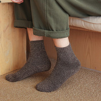 Chaussettes en coton épaisses pour hommes, chaussettes d'hiver chaudes et décontractées avec rembourrage intérieur en boucle