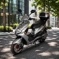Nouvelle Arrivée Puissante Moto Électrique Adulte Économique avec Moteur OEM 450-1000W
