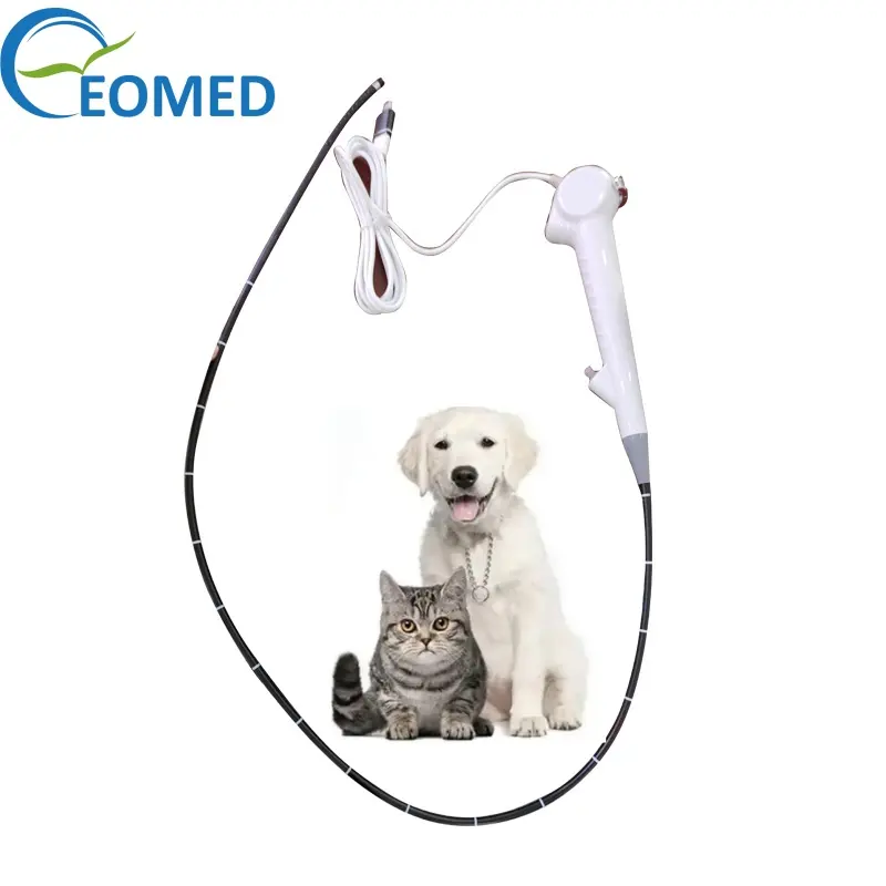 Videoendoscopio veterinario flexible con USB, endoscopio veterinario de gran oferta, para uso en veterinaria, en venta