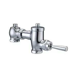 Chrome Surface Manual WC Toilet Flush Valve Hand Pressure Flushing Valve For Sale