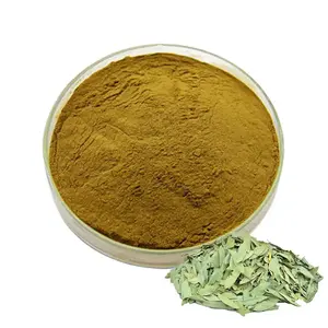 Wholesale cassia angustifolia reliable senna leaves extract quality natural A+B 10:1 20:1 15% 20% sennosides senna leaf extract