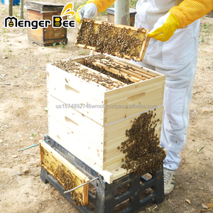 กล่องรังผึ้งไม้เฟอร์ Mengerbee ขนาด 10 เฟรม แบบ Langstroth ขนาดกลาง แบบ Super Box ยังไม่ได้ประกอบ สำหรับเลี้ยงผึ้ง - Product Image 6