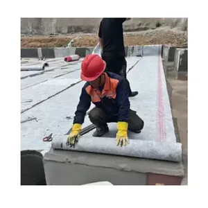 Fibra <span class=keywords><strong>de</strong></span> Polipropileno <span class=keywords><strong>de</strong></span> Alta Resistencia para <span class=keywords><strong>Reparación</strong></span> <span class=keywords><strong>de</strong></span> Hormigón, Mortero para Mejorar la Resistencia y la Resistencia a las Grietas, Fibra <span class=keywords><strong>de</strong></span> Polietileno y Polipropileno - Product Image 2