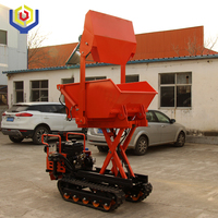 Taishan Niu Mini-Raupenbagger mit Dieselmotor, 500kg Kipplader, Frontlader, Getriebe, Motor, Hydraulikpumpe, niedriger Betriebsstundenzähler