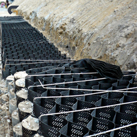 Система геосеток из HDPE для защиты склонов автомагистралей, берегов рек и предотвращения эрозии почвы