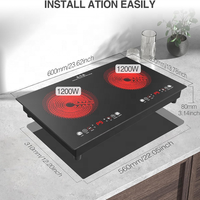Table de cuisson électrique ANHANE 24 pouces, 2 brûleurs, encastrable/sur table, 110V 2400W, panneau en verre céramique, commande tactile LED, protection contre la surchauffe