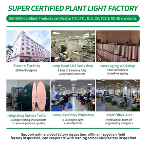 Luces LED <span class=keywords><strong>de</strong></span> Cultivo ANDY <span class=keywords><strong>de</strong></span> Espectro Completo Rojo Profundo y Rojo Lejano <span class=keywords><strong>de</strong></span> 3.0umol/J, 4 pies, 120W 150W, para Interiores y <span class=keywords><strong>Bajo</strong></span> el Dossel - Product Image 6