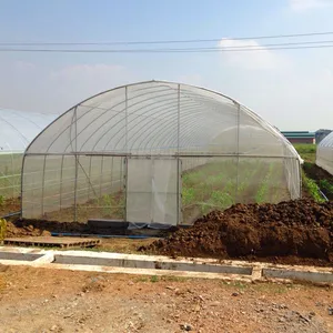Shade Net Single-Span Agricultural Pest Greenhouse Electric Pipe Rail Aluminum Foil Inner Shade Green House With Flowers