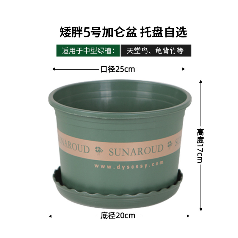 [Pack of 5] Short 5-gallon (25cm diameter) Quality Choice