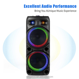 AO-1299 mới mô hình tư nhân nhà máy bán buôn kép 12 inch rạp hát tại nhà Hệ thống pin loa với ánh sáng LED - Product Image 2