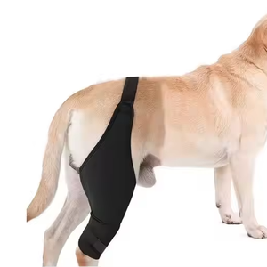 Attelle de genou universelle pour chien avec logo personnalisé, pour lésions du ligament croisé arrière, déchirures du ligament croisé, luxations de la rotule - Product Image 1