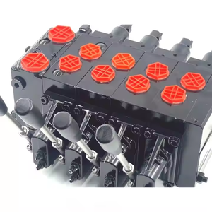 โซลูชันไฮดรอลิกที่ปรับแต่งได้ด้วยไฟฟ้า HSDVG32และด้วยตนเอง: วาล์วควบคุม HSDVG32สำหรับการใช้งานที่หลากหลาย - Product Image 2