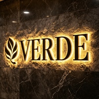 Enseigne en lettres métalliques 3D LED pour salon de beauté, panneau mural avec nom, enseigne publicitaire rétroéclairée en acier inoxydable, logo métallique
