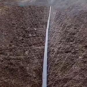 Tubo <span class=keywords><strong>Manichetta</strong></span> per <span class=keywords><strong>Irrigazione</strong></span> a Goccia Microirrigazione per Sistemi Agricoli Sprinkler Ala <span class=keywords><strong>Gocciolante</strong></span> in PE Nastro per <span class=keywords><strong>Irrigazione</strong></span> a Pioggia - Product Image 1