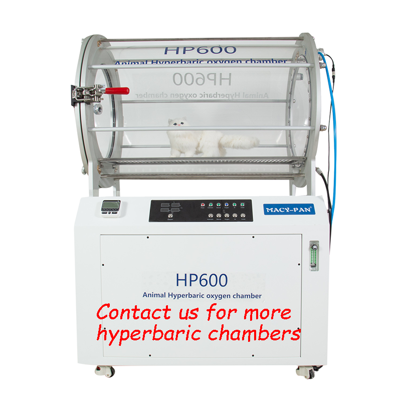 MACY PAN Veterinary Hyperbaric Oxygen Chamber