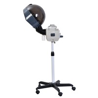 Machine à vapeur capillaire professionnelle portable en acier inoxydable avec roulettes pour l'humidification écologique des cheveux