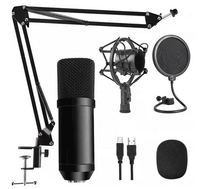 Vente directe d'usine Microphone d'enregistrement chant ordinateur Studio Microphone à condensateur Mike Kit meilleur prix micro