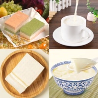 Machine automatique multifonctionnelle de fabrication de tofu et de lait de soja en acier inoxydable pour restaurants asiatiques