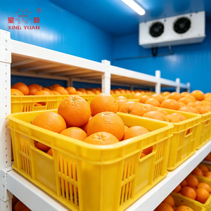 <span class=keywords><strong>Chambre</strong></span> <span class=keywords><strong>froide</strong></span> de haute qualité pour 5000 poulets, <span class=keywords><strong>chambre</strong></span> <span class=keywords><strong>froide</strong></span> pour fruits de mer - Product Image 1