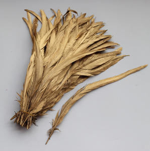 Venta al por mayor de alta calidad 40-45cm oro metálico plata pintado plumas de cola de <span class=keywords><strong>gallo</strong></span> para el diseño de disfraces de Carnaval - Product Image 3