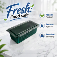 Transparante, voedselveilige plastic rechthoekige voedselbewaarbox voor gedroogd fruit, taarten, sandwiches, aanpasbaar
