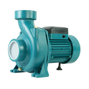 Bomba de Agua Centrífuga Monofásica Autocebante Horizontal para Piscina HFM - Product Image 3