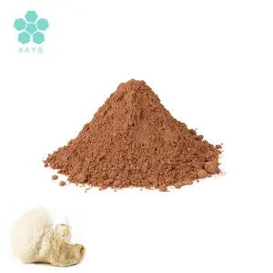 Organic Lion's Mane Mushroom Extract Polysaccharides 30% Powder