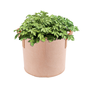 Lot de 10 sacs de culture ronds en tissu non tissé épaissi de 2 gallons avec poignées doubles pour tomates, pommes de terre, herbes et racines - Product Image 1