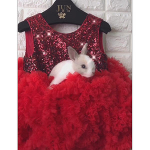 Abito Elegante per il Primo Compleanno di Bambine, Vestito da Principessa con Paillettes e Volant Senza Maniche per Bambine - Product Image 3