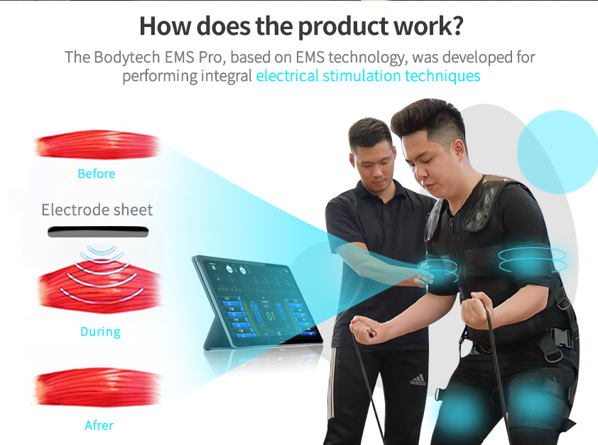 Ems Electrostimulation Fitness Machine For Gym
