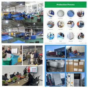 Panneau de cour en plastique ondulé imprimé sur mesure simple face pour la promotion des affaires de la campagne politique immobilière - Product Image 6