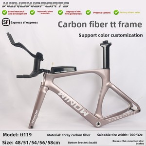 GZXR 프리미엄급 카본 파이버 TT 프레임 아이스베리 핑크 고급 로드 바이크 - Product Image 2