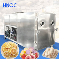 HNOC Industriële Groothandel Prijs Vriesdroogmachine 200kg 500kg Capaciteit Fruit Voedsel Vacuüm Vriesdroogmachine