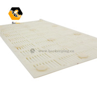 Outils d'apiculture cadres d'abeilles 250g / 500g en plastique miel peigne cadre conseil boîte peigne miel Cassette bloc abeille ruche cadre lunette