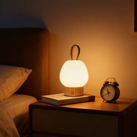 Lampe LED Moderne et Élégante en Gros, Lampe de Lecture Portable USB Rechargeable à Intensité Tactile pour la Décoration Intérieure des B&B et Cafés