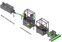 Machine de mise en carton verticale automatique multifonctionnelle pour biscuits et aliments