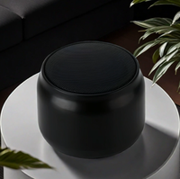Cadeau d'entreprise promotionnel, solaire portable, alimenté par DC 2.8, pour haut-parleur V2.0, autonomie de la batterie de 15 à 20 heures, support de téléphone LED RGB, radio FM