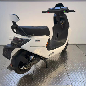 Motocicleta Eléctrica de Montaña de 1000W de Fábrica China al por Mayor para Reparto Potente - Product Image 1