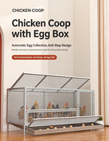 Poulailler automatique pour usage domestique avec système de distribution d'œufs, cage à poules en fil galvanisé avec tiroir de collecte des œufs
