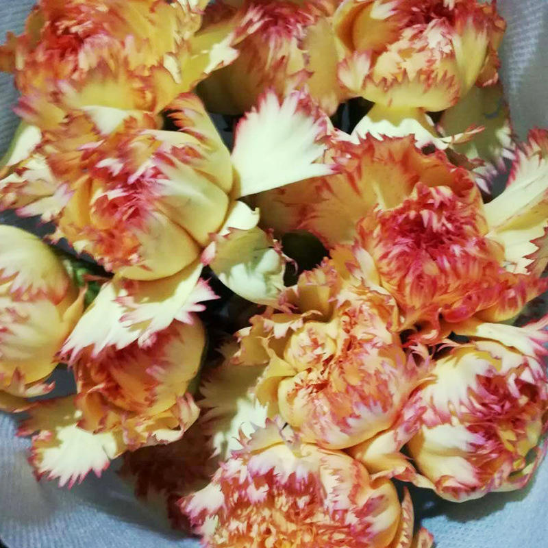 งานรื่นเริง