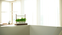 Mini Jardin Hydroponique Solaire Intelligent avec Pots et Jardinières Innovants