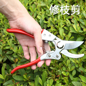 V10 Pruning Shears Stainless Steel Red Handle 20-30 Mm Bypass For Gardening Flower Fruit Branch Trimming - Product Image 4