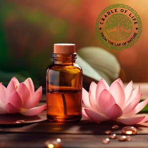 El aceite de loto proviene de la planta de loto que tiene flores cónicas y una serie de hojas circulares. - Product Image 5