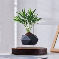 360 °   Pot Bunga Magnetik Berputar Dekorasi Seni, Penyangga Tanaman Melayang, Dekorasi Rumah & Taman, Hadiah